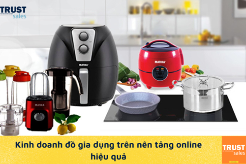 Kinh doanh đồ gia dụng trên nền tảng online và kinh nghiệm xương máu