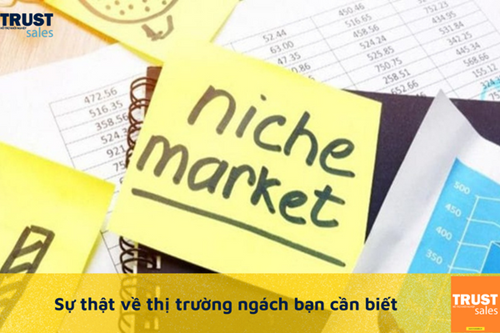 Thị trường ngách là gì? Có nên lựa chọn thị trường ngách để khởi nghiệp kinh doanh?